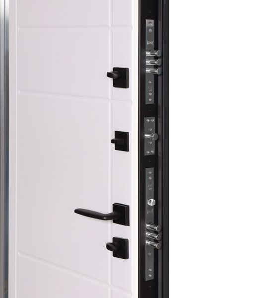 Вхідні двері Котедж 705/431 &mdash; Metalic anthracite / Білий Атласний 224738 фото