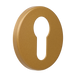Накладка на замок під PZ GE RBQ ZOSO GE RBQ SATIN GOLD фото 2